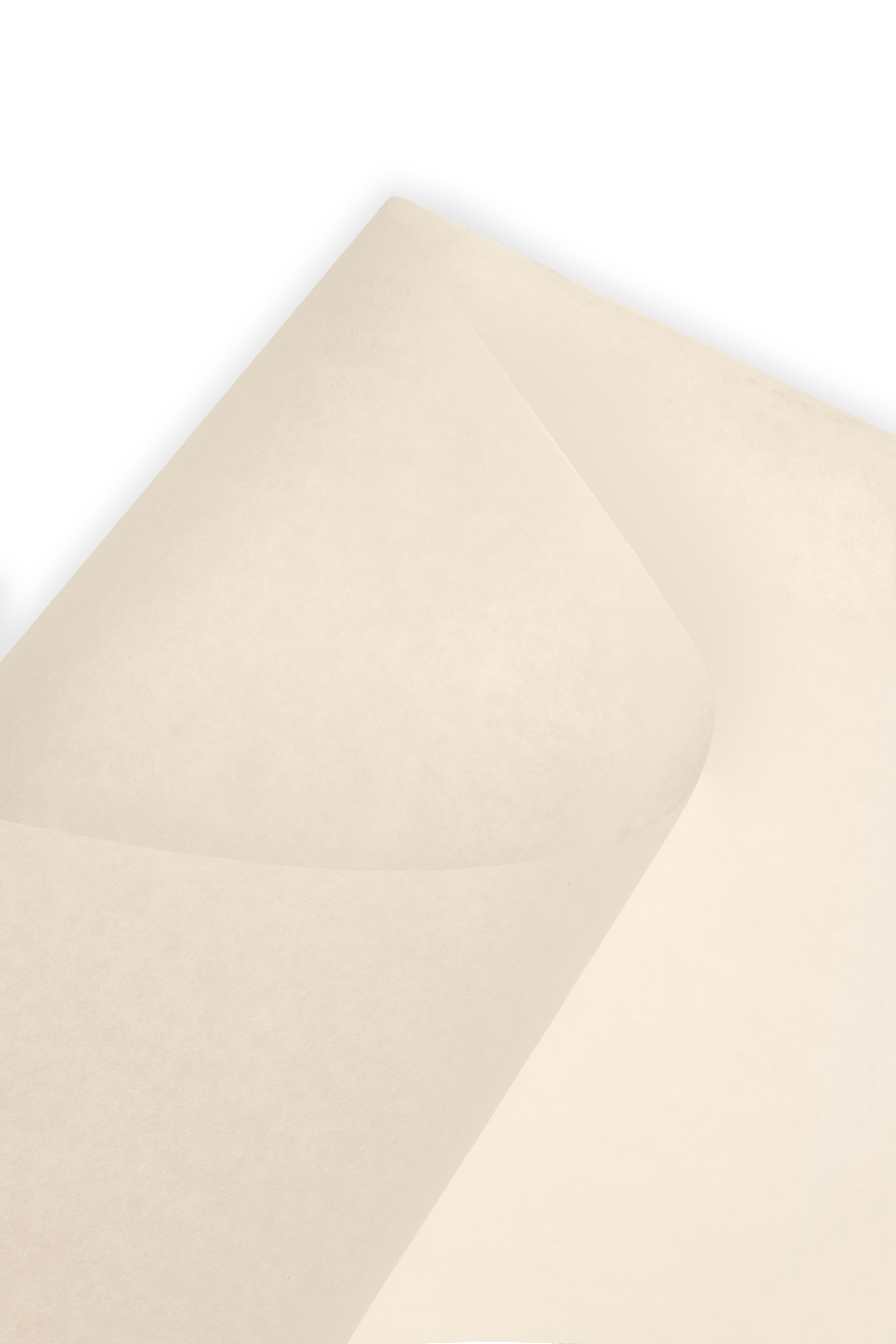 FOGLIO CARTA FORNO F.TO 36X56