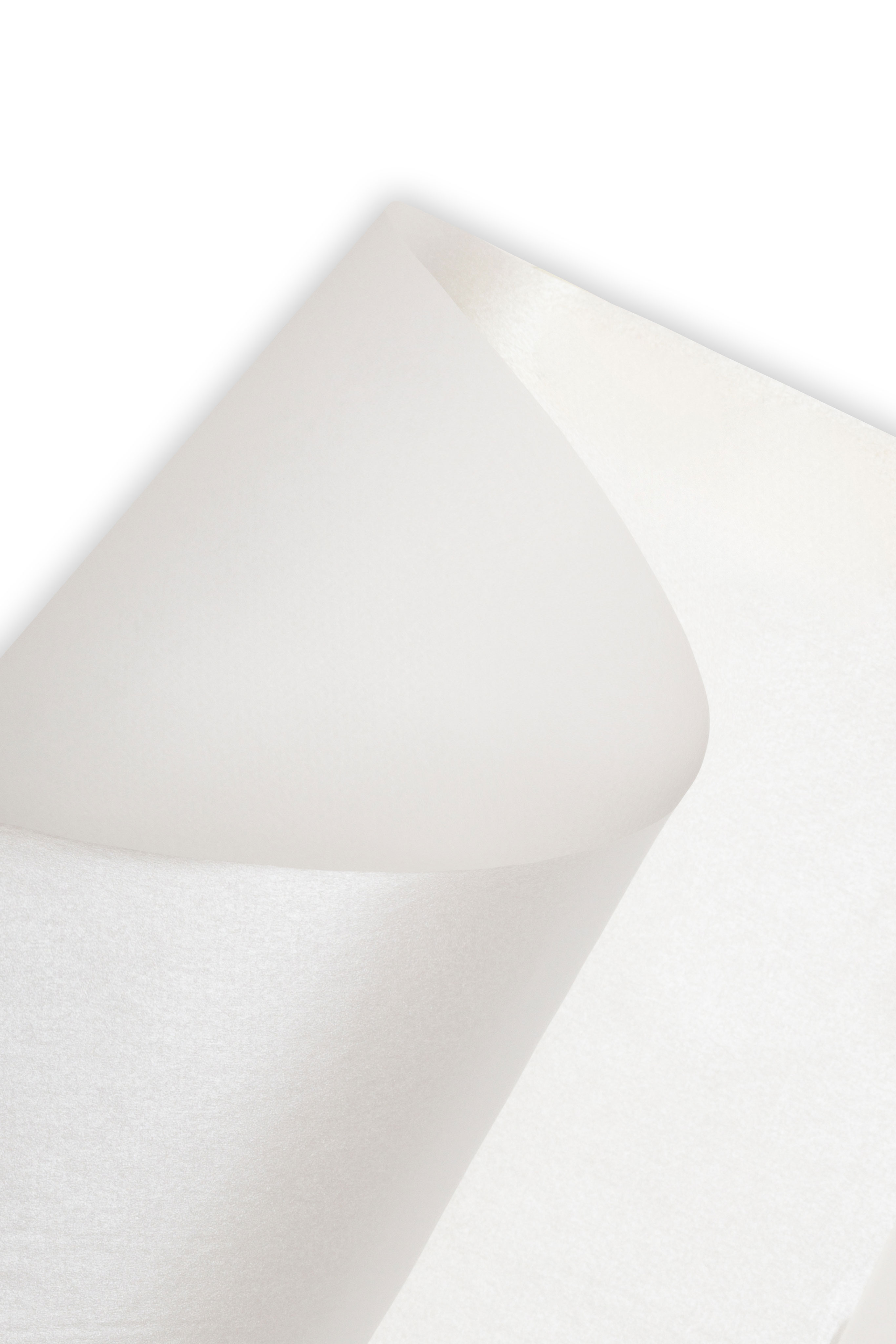 CARTA VELINA E/C F.TO 25X75